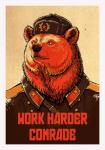 Soviet Bear's Avatar